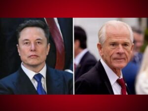 Peter Navarro vs Musk