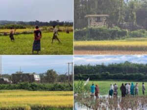 14 people were pushed into the Kurigram border