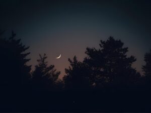 eid ul adha date announcement