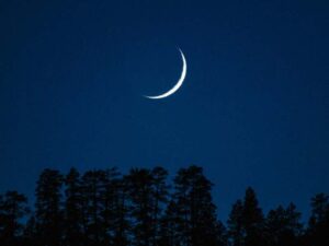 eid ul azha bangladesh 2025