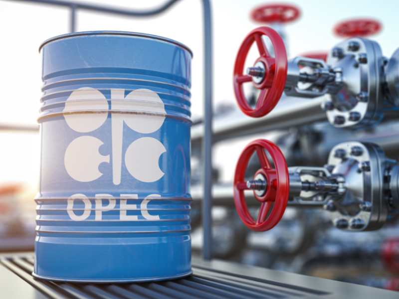 Oil prices fall in the world market