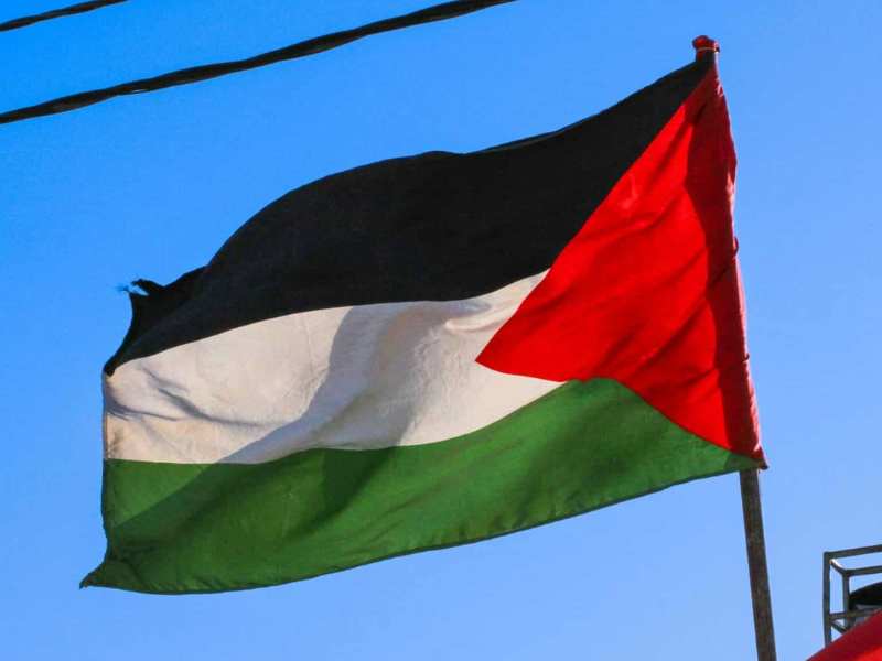 Portugal recognized Palestine socialist government