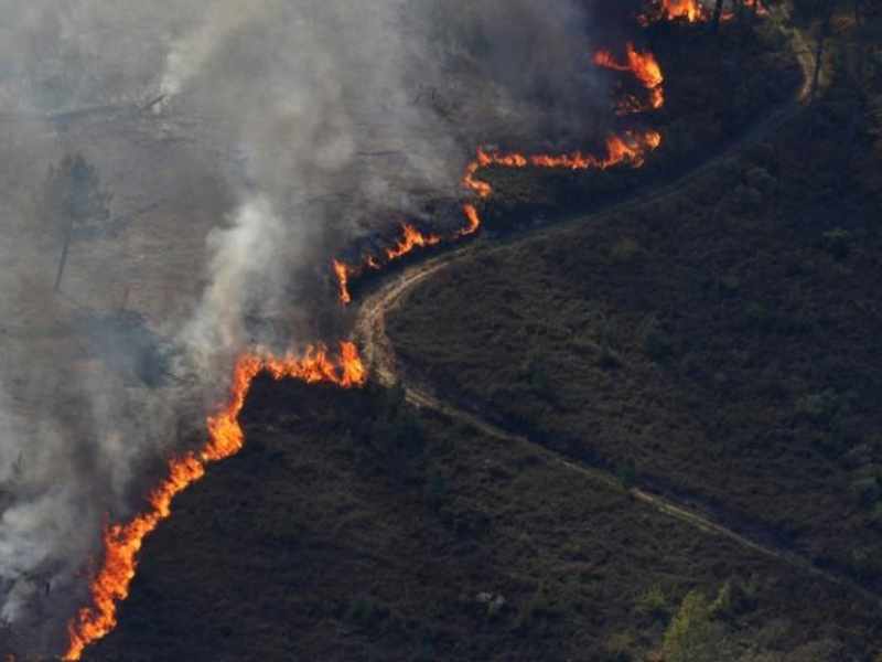 portugal forest fire ponte da barca