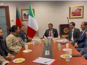 expatriate postal vote