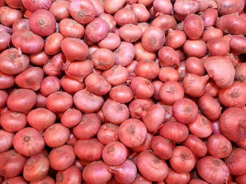 onion import bangladesh tariff commission