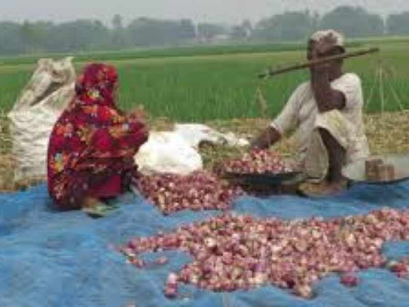 onion price hike bangladesh