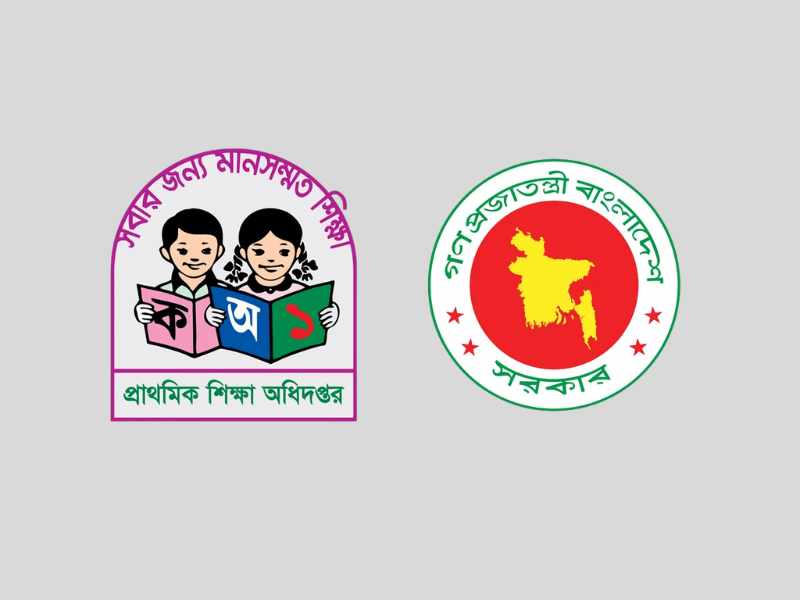 primary scholarship exam routine