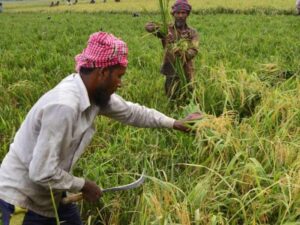 Sunamganj flood warning
