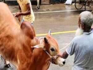 eid-second-day-qurbani-bangladesh