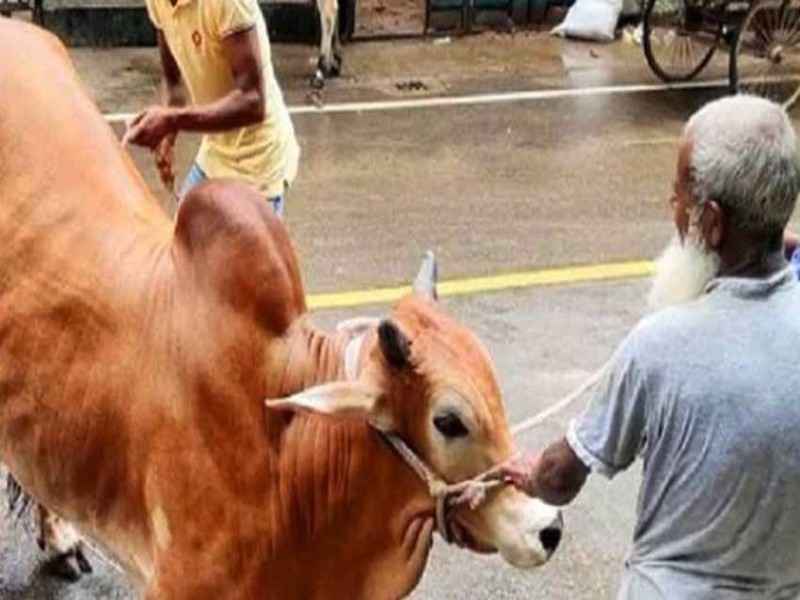 eid-second-day-qurbani-bangladesh