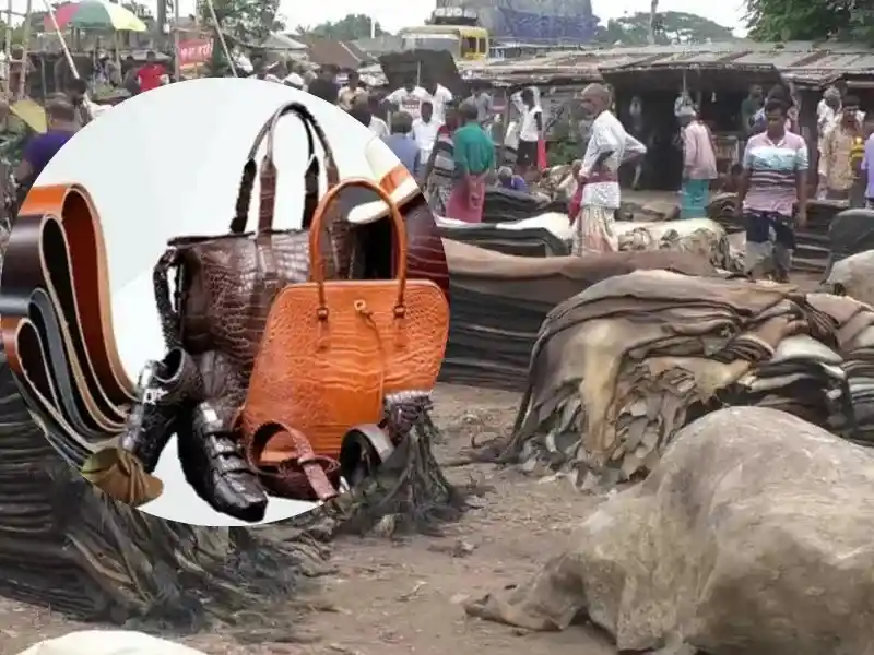 leather-industry-export-bangladesh