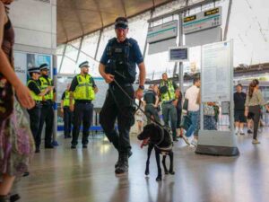 uk-county-lines-police-operation
