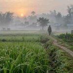 এবার শীত কেমন হবে? তীব্রতা ও স্থায়িত্ব কম হওয়ার আভাস