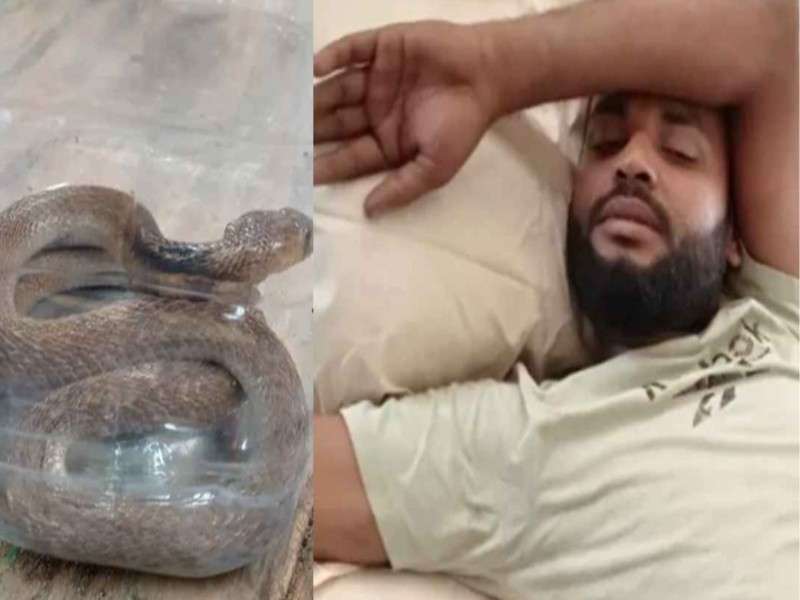 pet cobra bite